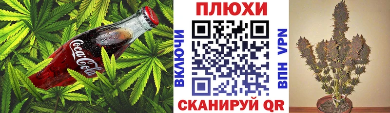 Cannafood конопля  где купить наркоту  Александровск 